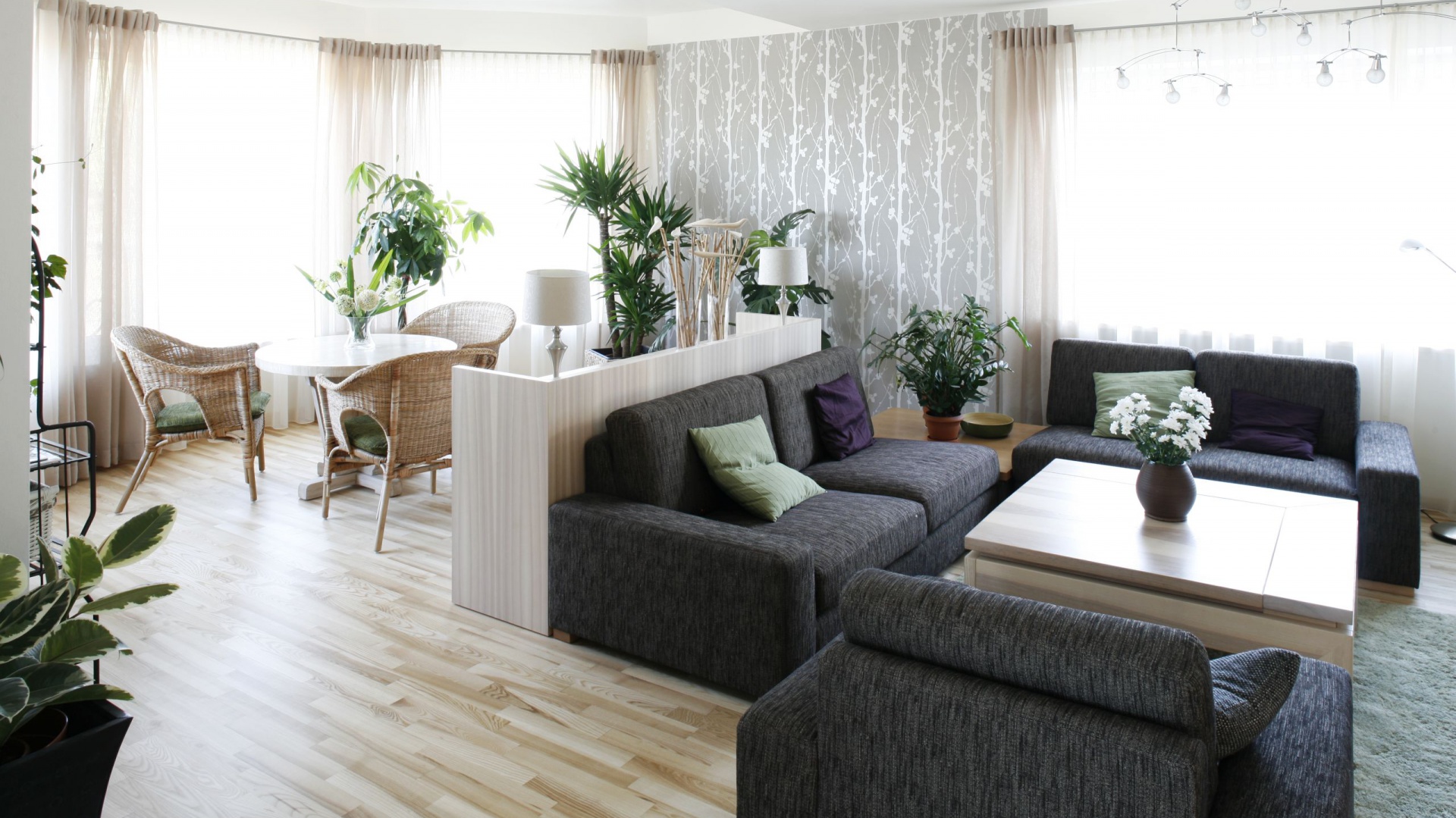 Meble z Polski do Holandii